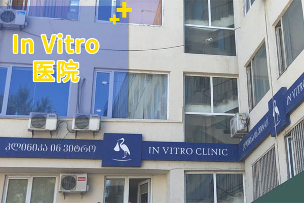 格鲁吉亚Invitro生殖中心